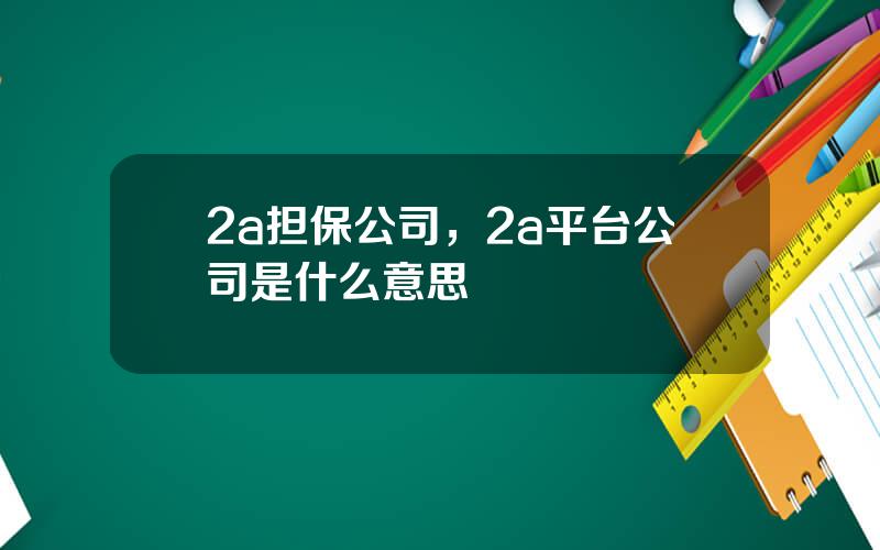 2a担保公司，2a平台公司是什么意思