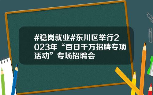 #稳岗就业#东川区举行2023年“百日千万招聘专项活动”专场招聘会