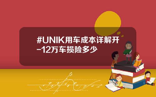 #UNIK用车成本详解开-12万车损险多少