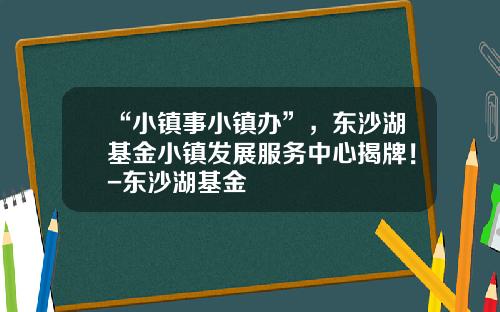 “小镇事小镇办”，东沙湖基金小镇发展服务中心揭牌！-东沙湖基金