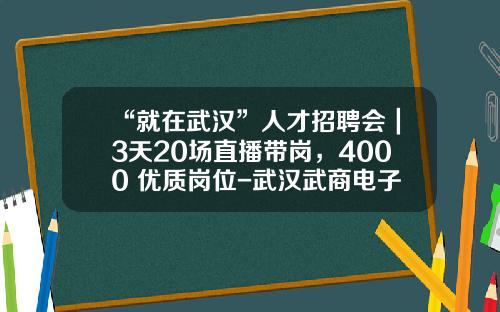 “就在武汉”人才招聘会｜3天20场直播带岗，4000+优质岗位-武汉武商电子商务有限公司