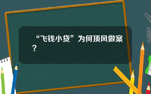 “飞钱小贷”为何顶风做案？