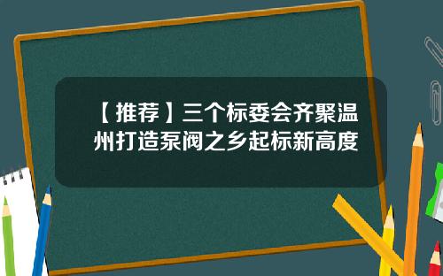 【推荐】三个标委会齐聚温州打造泵阀之乡起标新高度