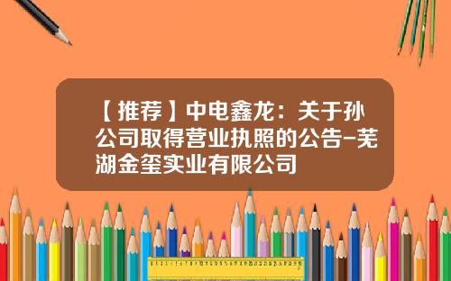 【推荐】中电鑫龙：关于孙公司取得营业执照的公告-芜湖金玺实业有限公司