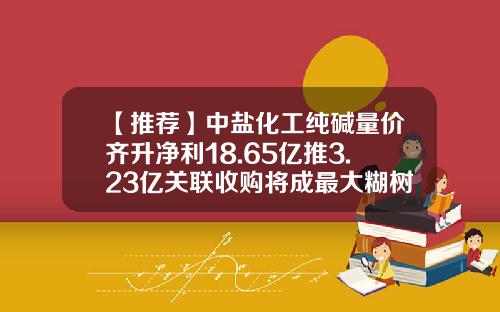 【推荐】中盐化工纯碱量价齐升净利18.65亿推3.23亿关联收购将成最大糊树脂企业-生产纯碱的上规模的公司有那些