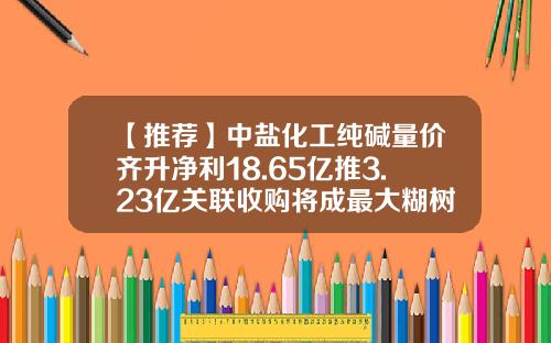 【推荐】中盐化工纯碱量价齐升净利18.65亿推3.23亿关联收购将成最大糊树脂企业-精细化工类上市公司