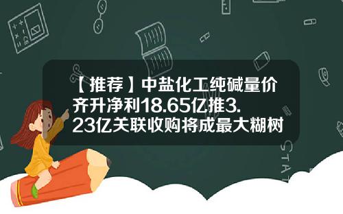 【推荐】中盐化工纯碱量价齐升净利18.65亿推3.23亿关联收购将成最大糊树脂企业-纯碱行业公司