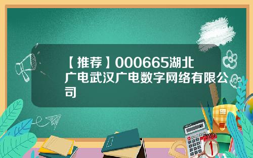 【推荐】000665湖北广电武汉广电数字网络有限公司