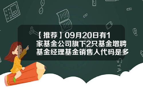 【推荐】09月20日有1家基金公司旗下2只基金增聘基金经理基金销售人代码是多少