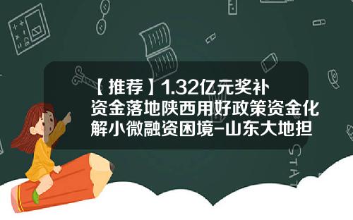 【推荐】1.32亿元奖补资金落地陕西用好政策资金化解小微融资困境-山东大地担保有限公司