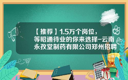 【推荐】1.5万个岗位，等昭通待业的你来选择-云南永孜堂制药有限公司郑州招聘