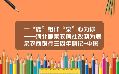 一“鹿”相伴“泉”心为你——河北鹿泉农信社改制为鹿泉农商银行三周年侧记-中国的社区银行有多少