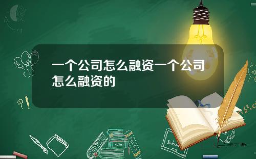 一个公司怎么融资一个公司怎么融资的