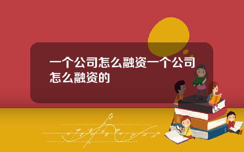 一个公司怎么融资一个公司怎么融资的