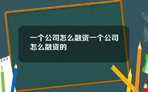 一个公司怎么融资一个公司怎么融资的