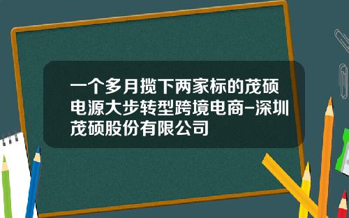 一个多月揽下两家标的茂硕电源大步转型跨境电商-深圳茂硕股份有限公司
