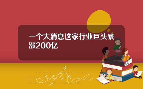 一个大消息这家行业巨头暴涨200亿