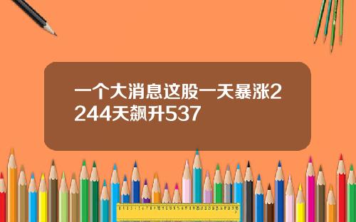 一个大消息这股一天暴涨2244天飙升537