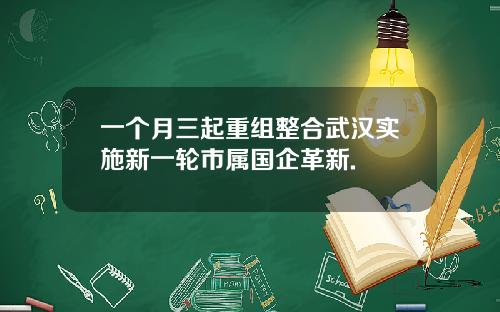 一个月三起重组整合武汉实施新一轮市属国企革新.