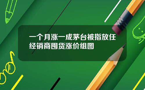 一个月涨一成茅台被指放任经销商囤货涨价组图