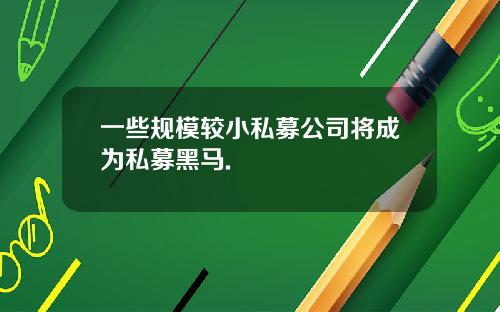一些规模较小私募公司将成为私募黑马.