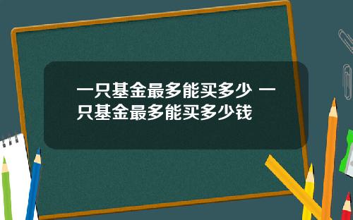 一只基金最多能买多少 一只基金最多能买多少钱