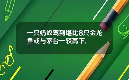 一只蚂蚁驾到堪比8只金龙鱼或与茅台一较高下.