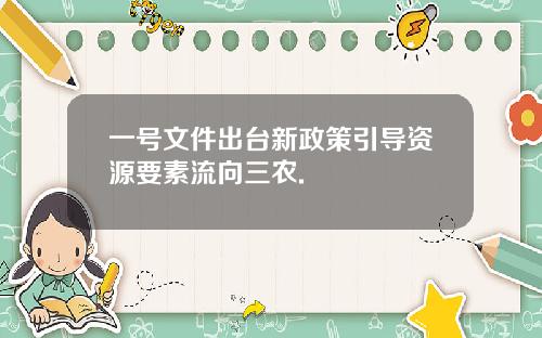 一号文件出台新政策引导资源要素流向三农.