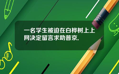一名学生被迫在白桦树上上网决定留言求助普京.