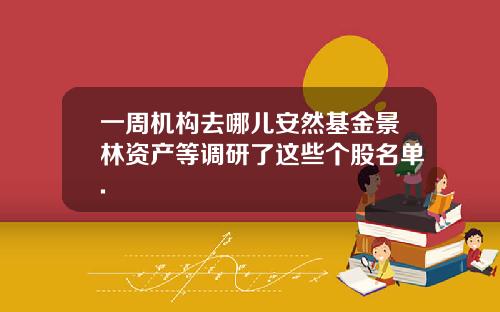 一周机构去哪儿安然基金景林资产等调研了这些个股名单.