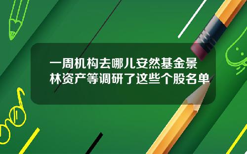 一周机构去哪儿安然基金景林资产等调研了这些个股名单