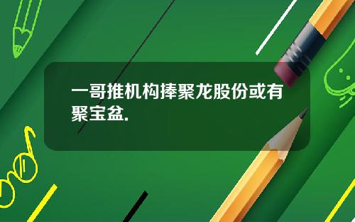 一哥推机构捧聚龙股份或有聚宝盆.