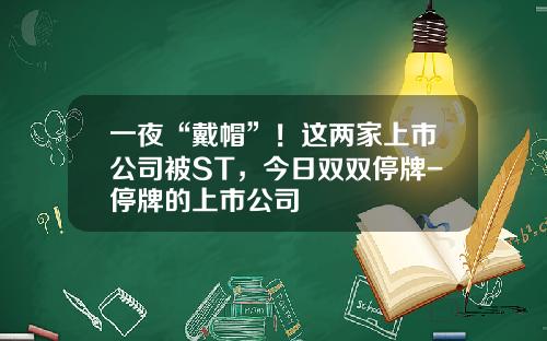 一夜“戴帽”！这两家上市公司被ST，今日双双停牌-停牌的上市公司