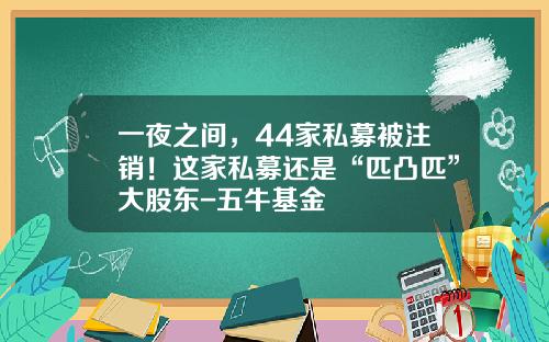 一夜之间，44家私募被注销！这家私募还是“匹凸匹”大股东-五牛基金