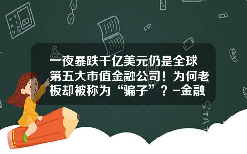 一夜暴跌千亿美元仍是全球第五大市值金融公司！为何老板却被称为“骗子”？-金融公司的骗局