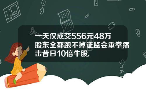 一天仅成交556元48万股东全都跑不掉证监会重拳痛击昔日10倍牛股.