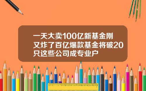 一天大卖100亿新基金刚又炸了百亿爆款基金将破20只这些公司成专业户