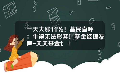 一天大涨11%！基民直呼：牛得无法形容！基金经理发声-天天基金t