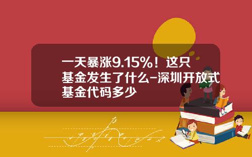 一天暴涨9.15%！这只基金发生了什么-深圳开放式基金代码多少