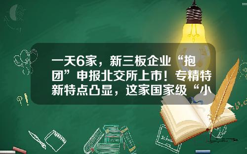 一天6家，新三板企业“抱团”申报北交所上市！专精特新特点凸显，这家国家级“小巨人”曾冲刺科创板-新三板12月待上市公司