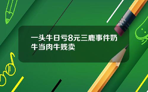 一头牛日亏8元三鹿事件奶牛当肉牛贱卖