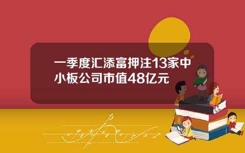 一季度汇添富押注13家中小板公司市值48亿元