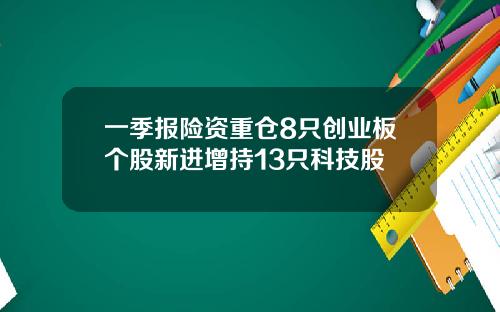 一季报险资重仓8只创业板个股新进增持13只科技股