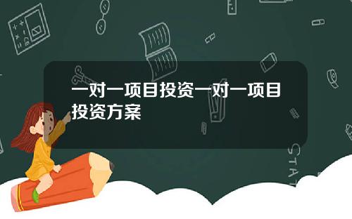 一对一项目投资一对一项目投资方案