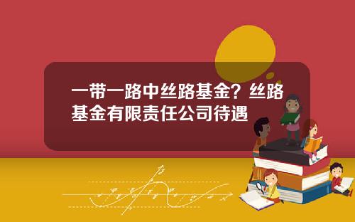 一带一路中丝路基金？丝路基金有限责任公司待遇
