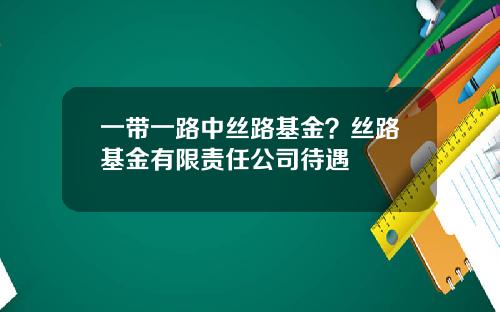 一带一路中丝路基金？丝路基金有限责任公司待遇