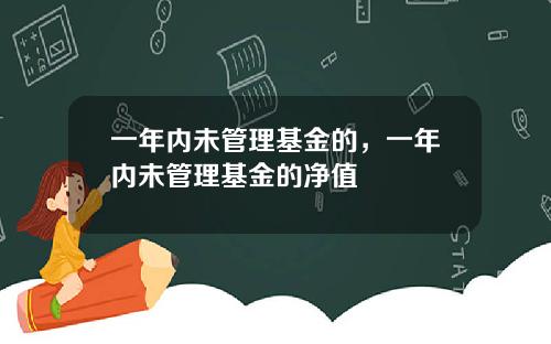 一年内未管理基金的，一年内未管理基金的净值