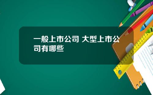 一般上市公司 大型上市公司有哪些