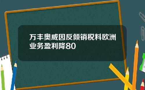 万丰奥威因反倾销税料欧洲业务盈利降80