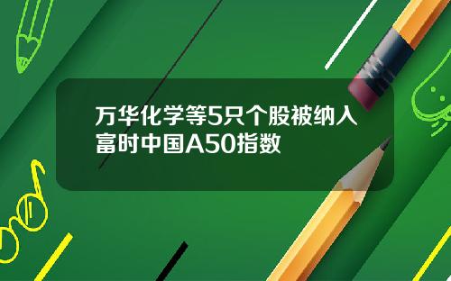 万华化学等5只个股被纳入富时中国A50指数